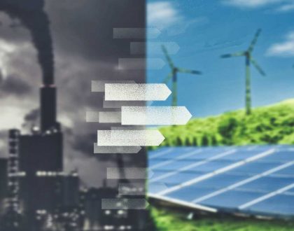 Sustainability-Manager-Toolbox-Guida-Fenice