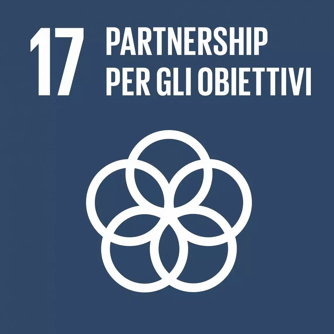 SDG 17 – Partnership