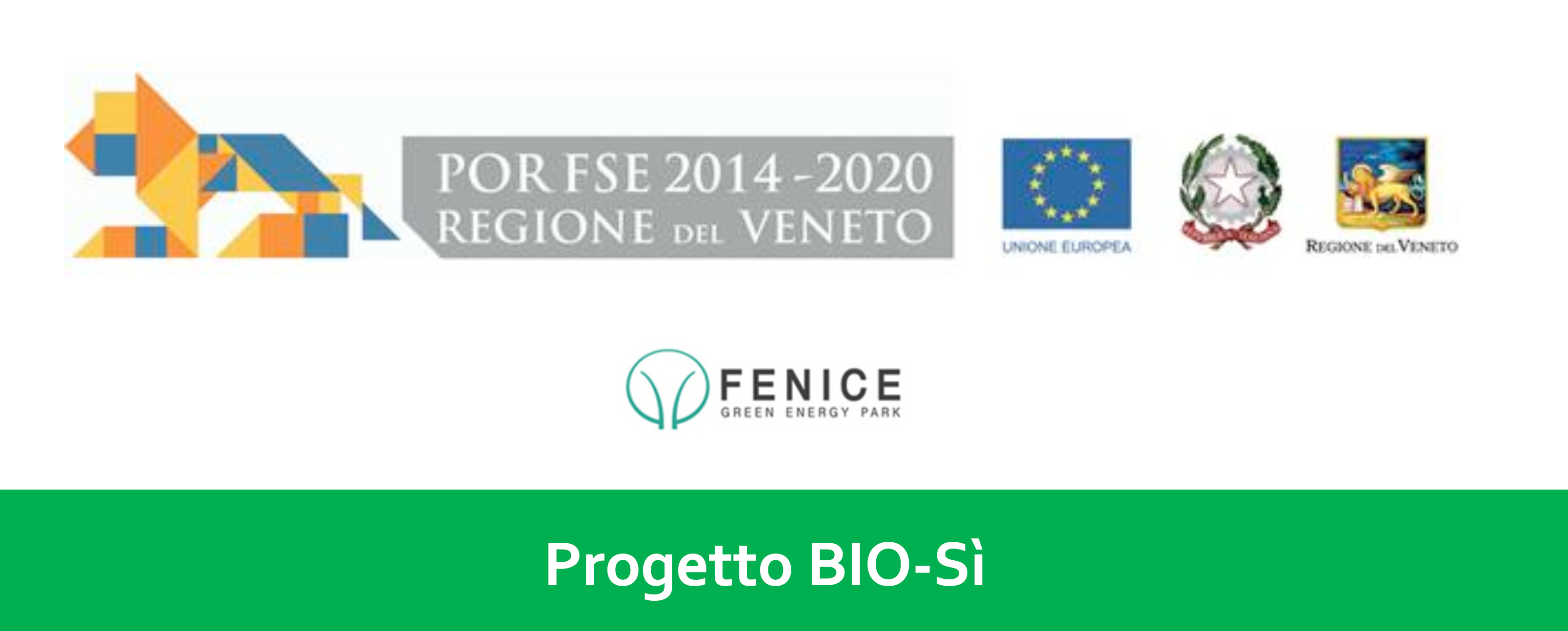 Progettologo Digital Frontal Hub - Fondazione la fenice