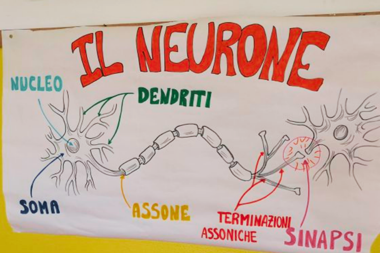 Progetto-Quartieri-Educanti-Fenice-Junior-Academy-laboratorio-studio-delle-emozioni-news