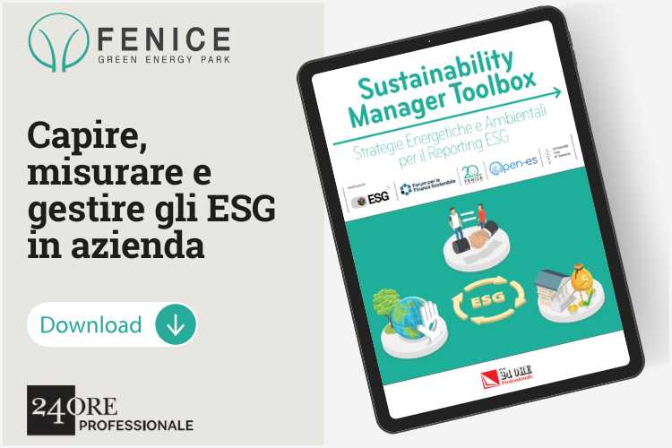 Guida-Sustainability-Manager-Toolbox