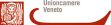 Unioncamere Veneto partner fondazione la fenice logo Unioncamere Veneto